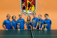Pingpong FnO